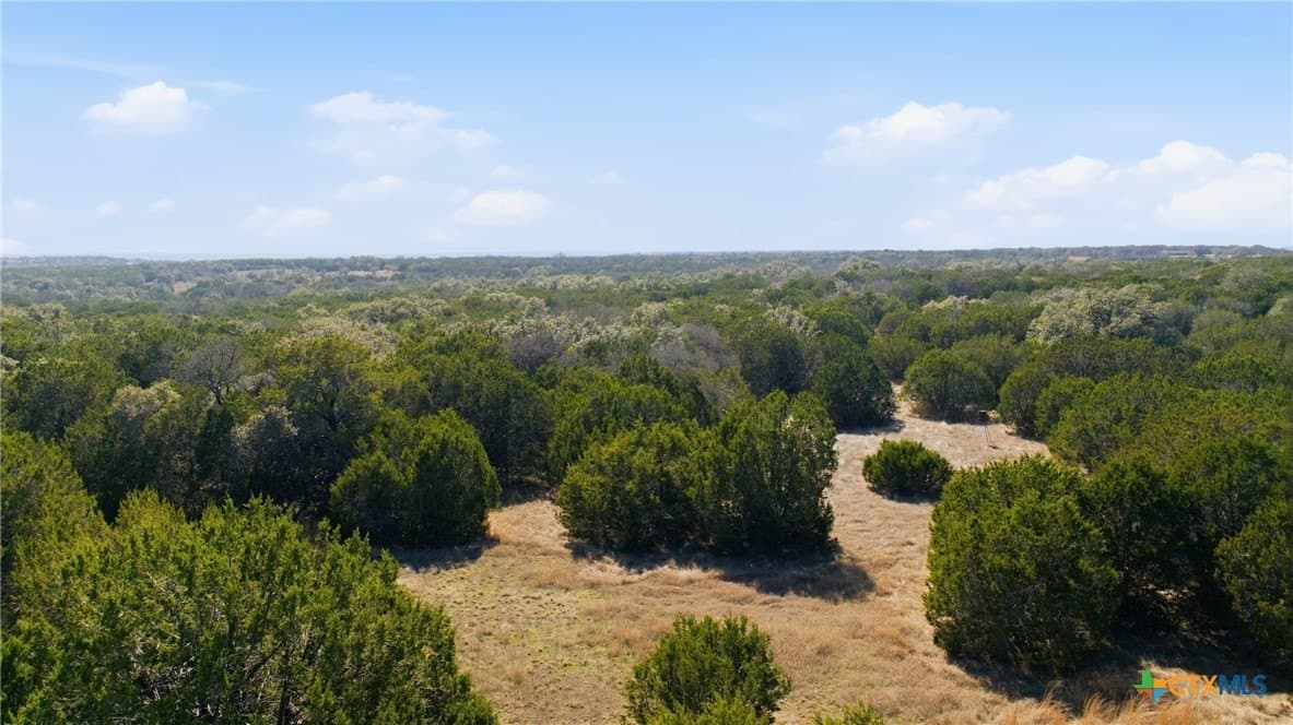 10.01 acres in Bell County - photo 13