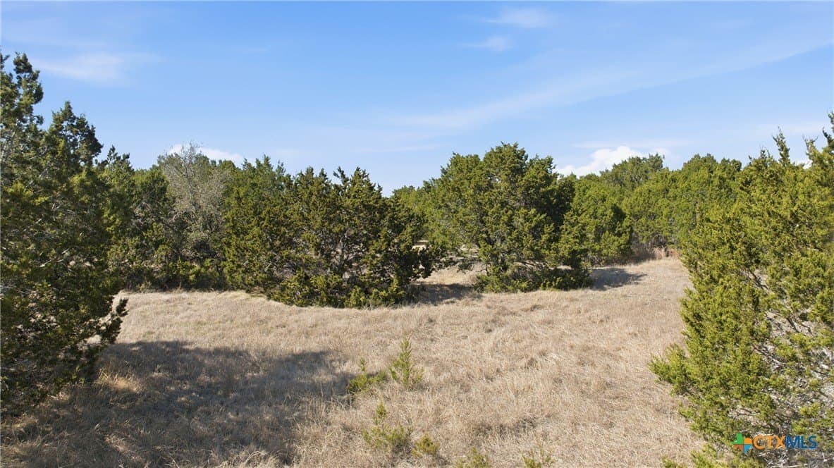 10.01 acres in Bell County - photo 10