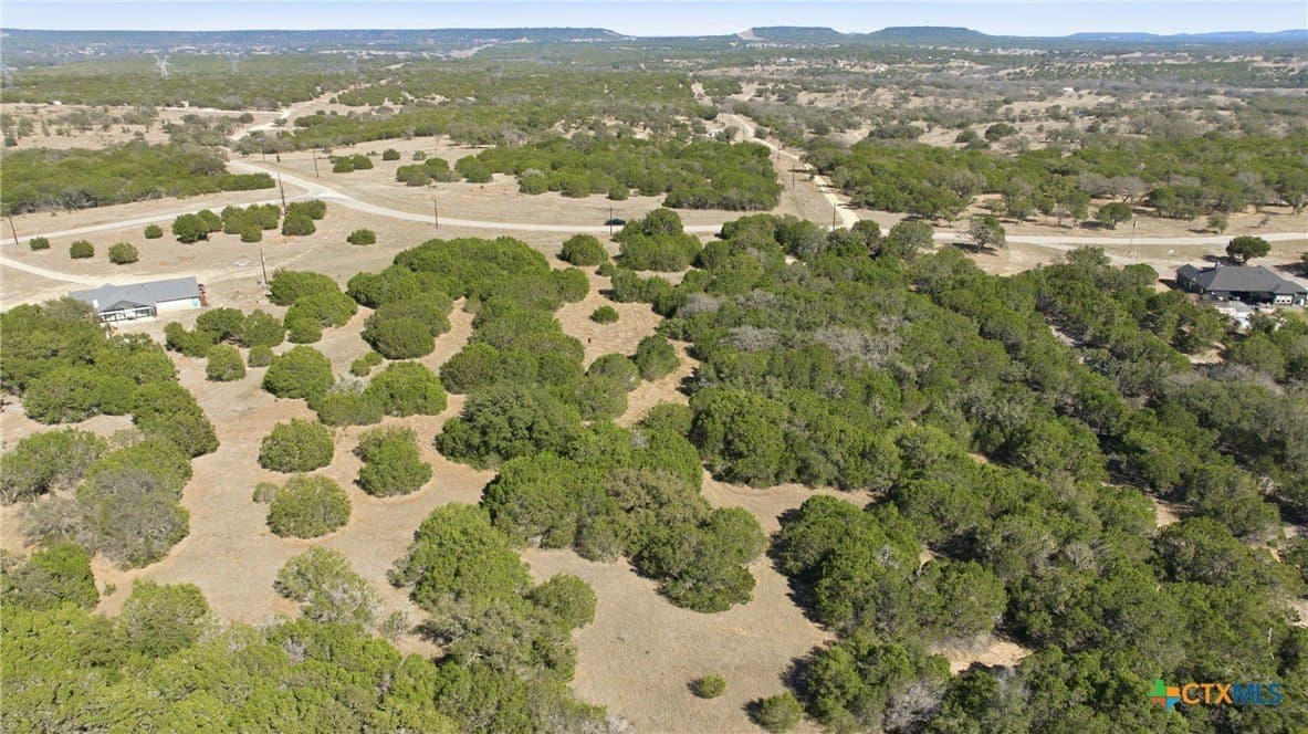 10.01 acres in Bell County - photo 8