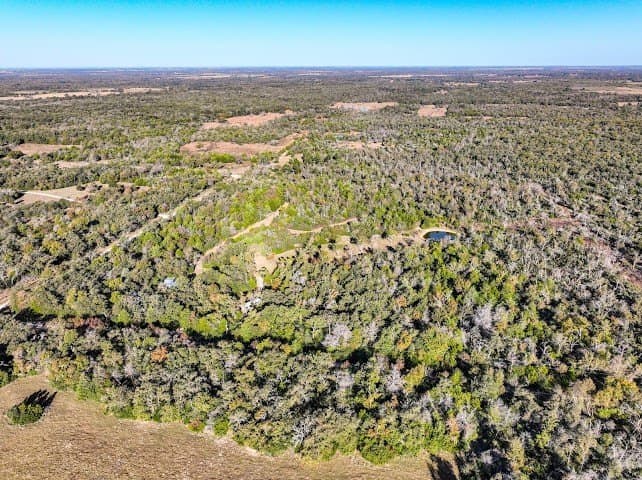 30.19 acres in Limestone County - photo 16
