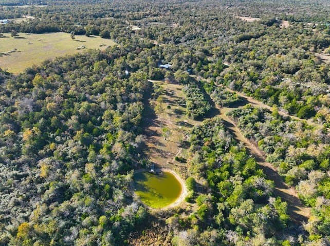 30.19 acres in Limestone County - photo 15