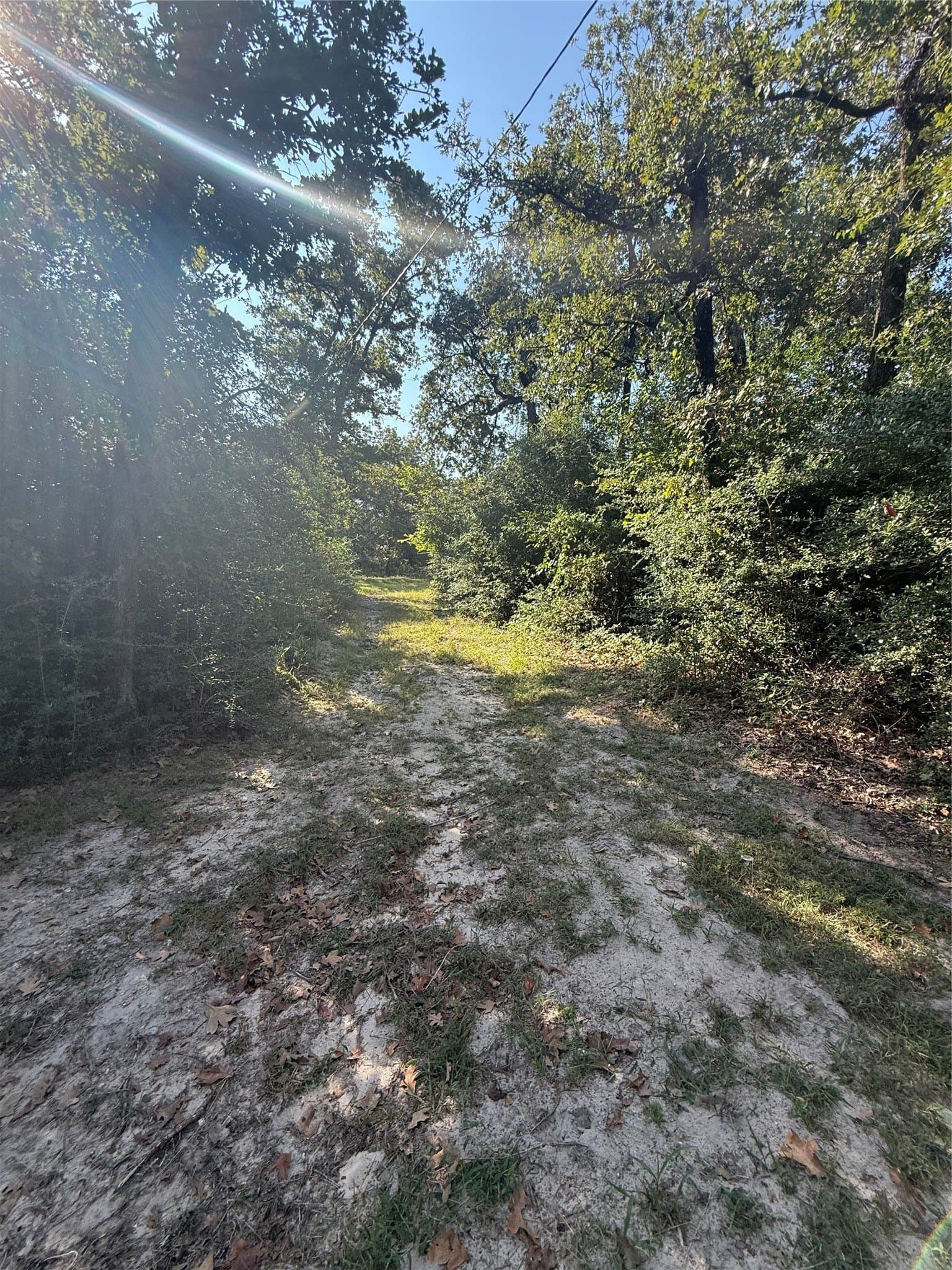 30.19 acres in Limestone County - photo 28
