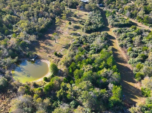 30.19 acres in Limestone County - photo 5
