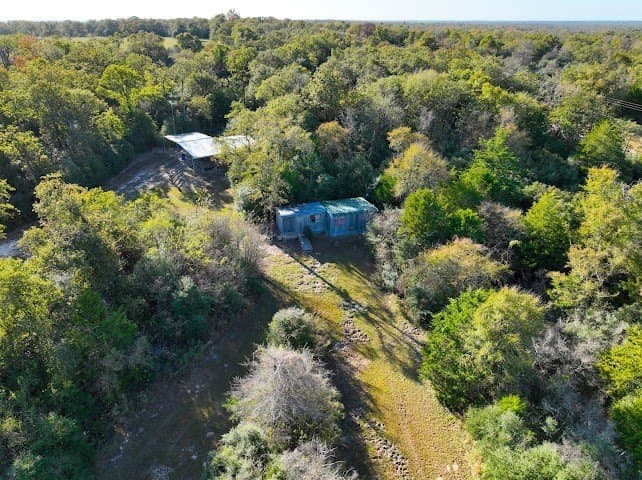 30.19 acres in Limestone County - photo 9