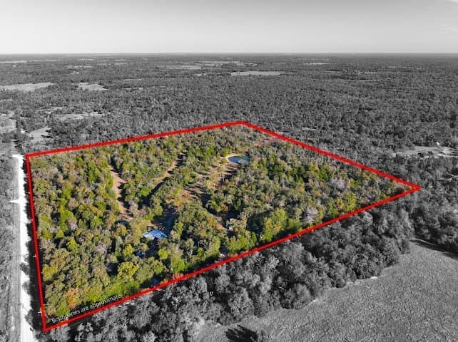 30.19 acres in Limestone County - photo 3