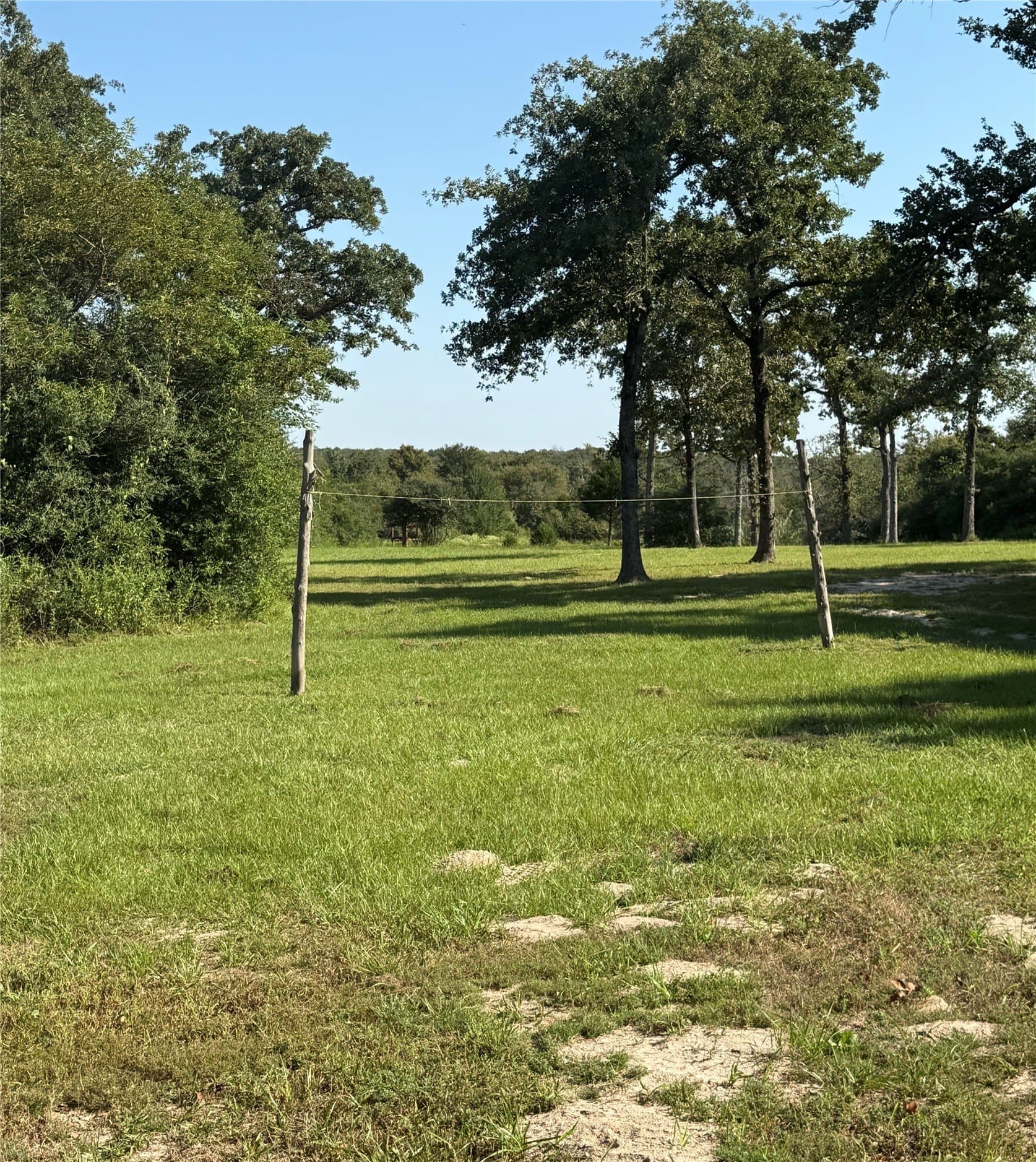 30.19 acres in Limestone County - photo 25