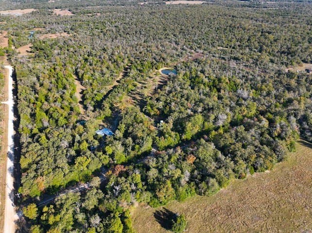 30.19 acres in Limestone County - photo 17