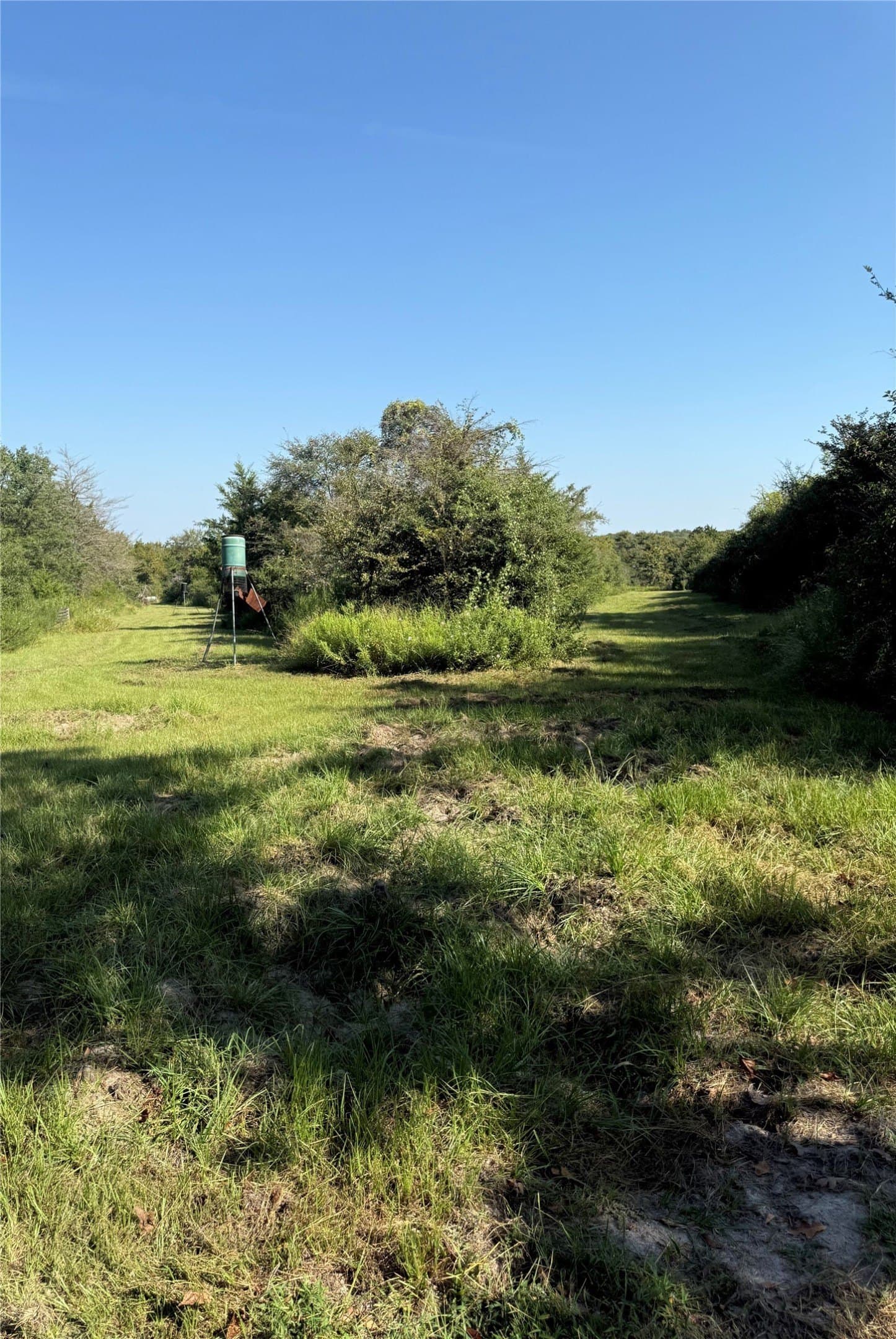 30.19 acres in Limestone County - photo 27
