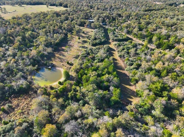 30.19 acres in Limestone County - photo 14