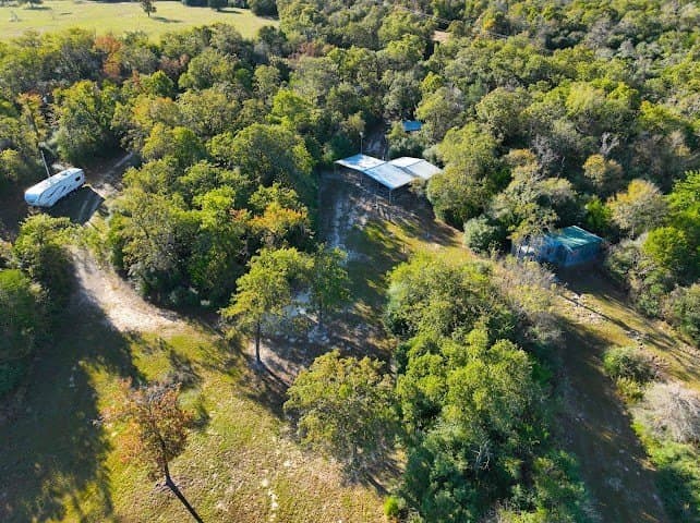 30.19 acres in Limestone County - photo 12