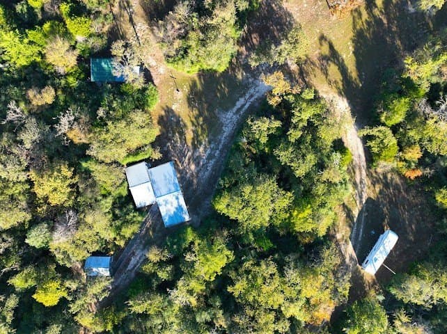 30.19 acres in Limestone County - photo 7