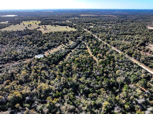 30.19 acres in Limestone County - photo 6