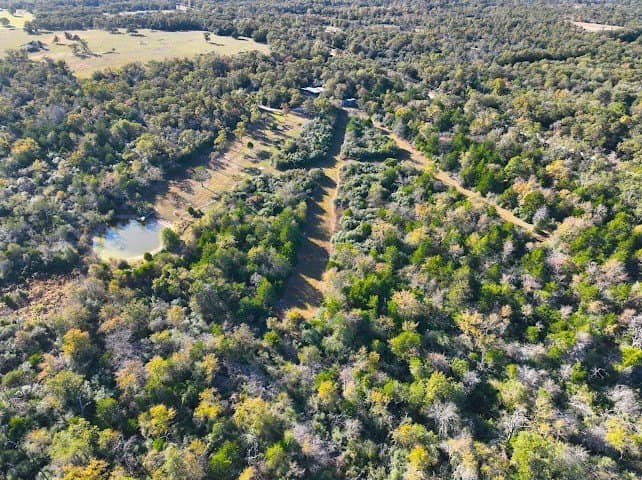 30.19 acres in Limestone County - photo 13