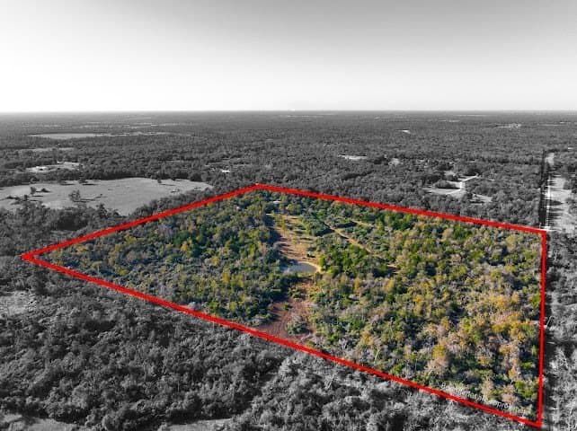 30.19 acres in Limestone County - photo 4