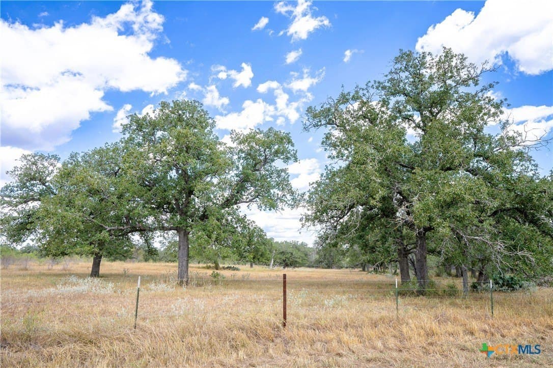 38.82 acres in Guadalupe County gallery image 3