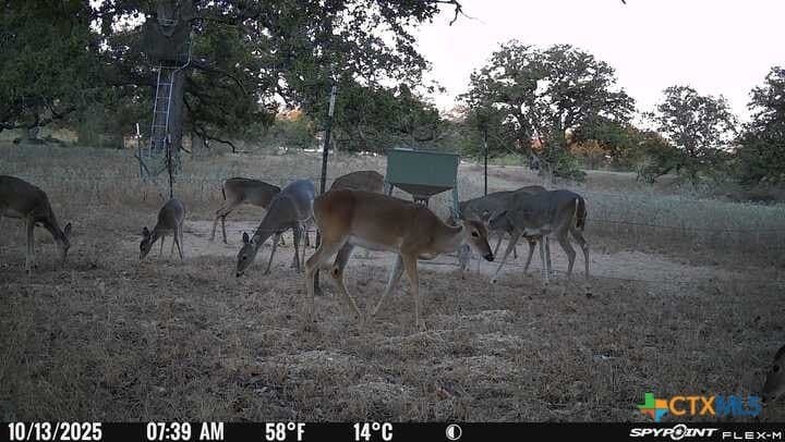 38.82 acres in Guadalupe County featured view