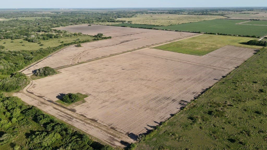 60 acres in Blessing Area County featured view