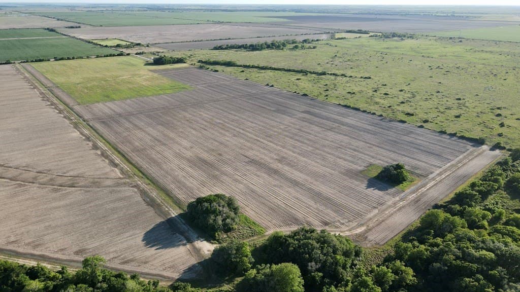 60 acres in Blessing Area County gallery image 4