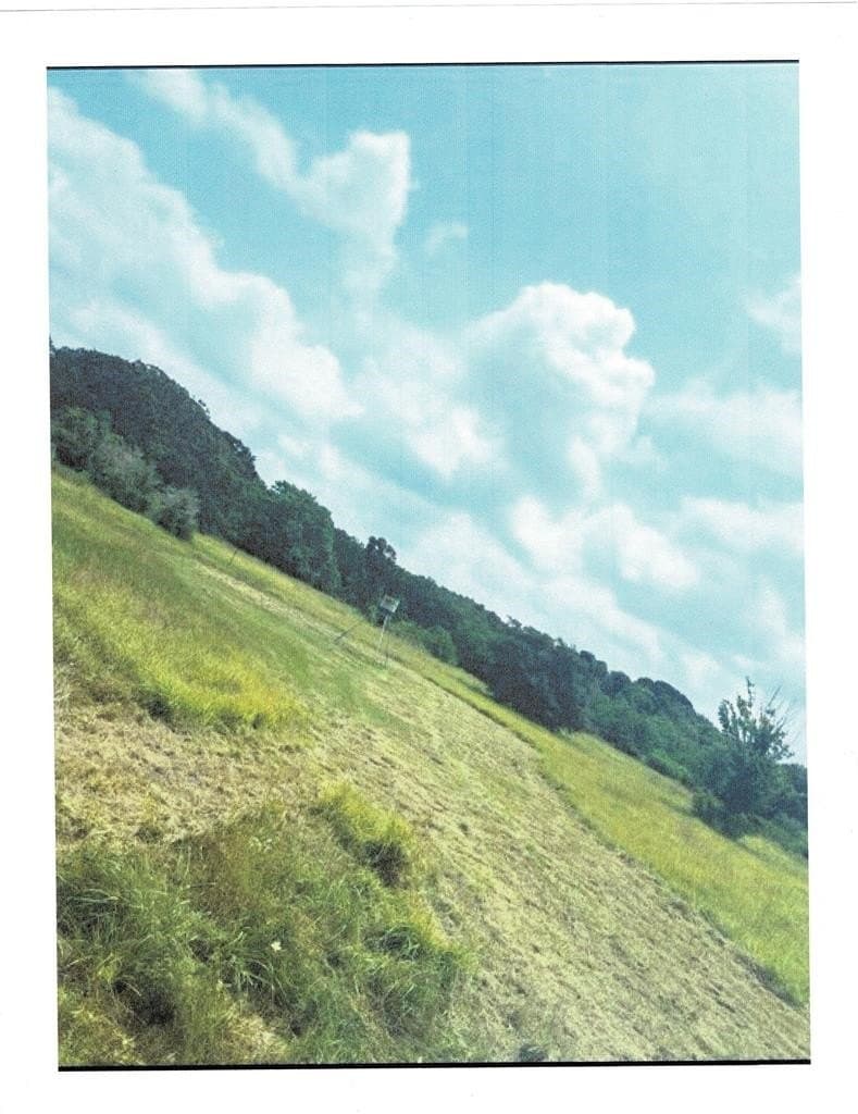 60 acres in Blessing Area County - photo 10