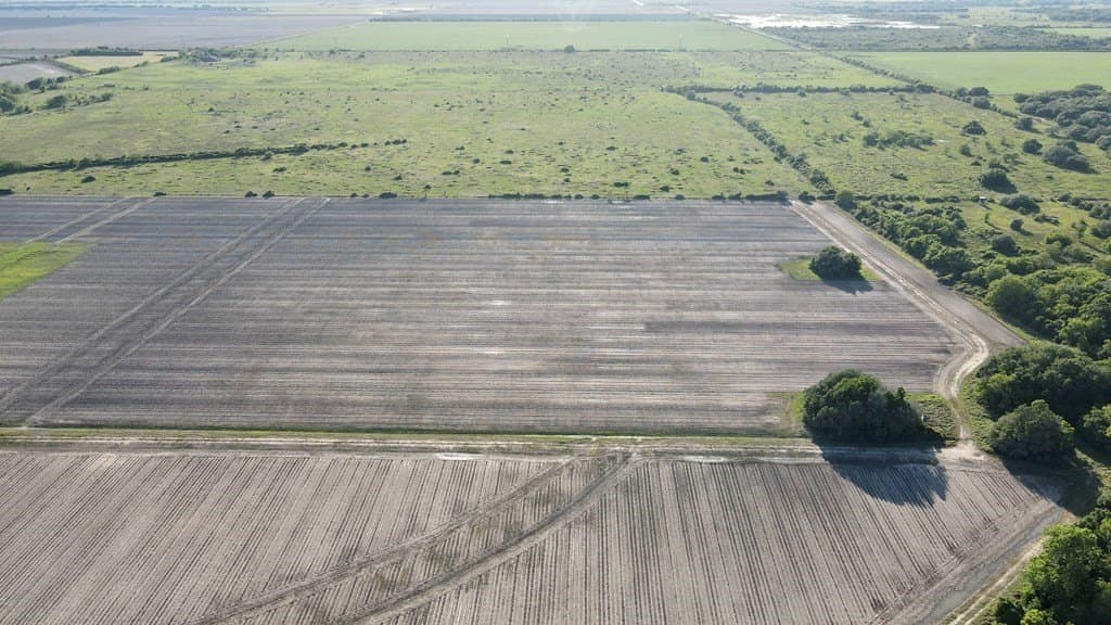 60 acres in Blessing Area County gallery image 3