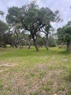 0.29 acres in Aransas County gallery image 4