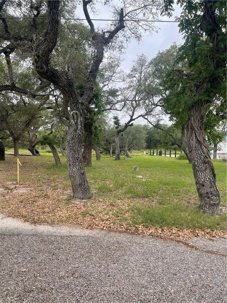 0.29 acres in Aransas County gallery image 2