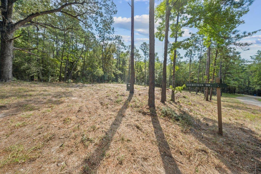 0.29 acres in Texas County - photo 2
