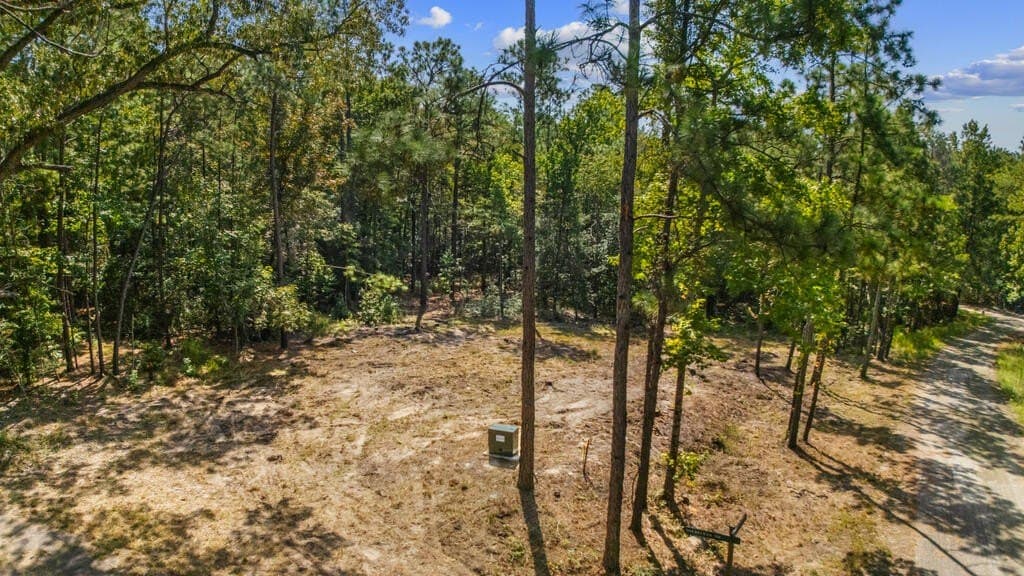 0.29 acres in Texas County - photo 3