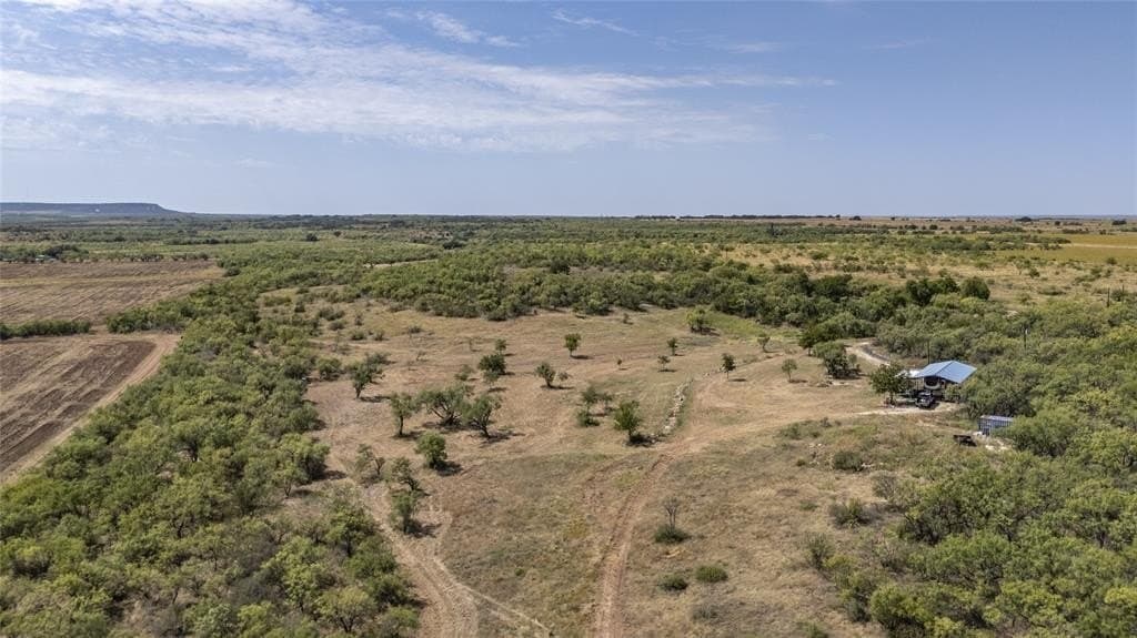 229.31 acres in Coleman County
