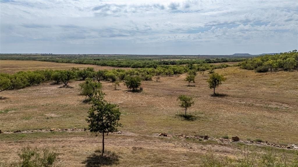 229.31 acres in Coleman County gallery image 2