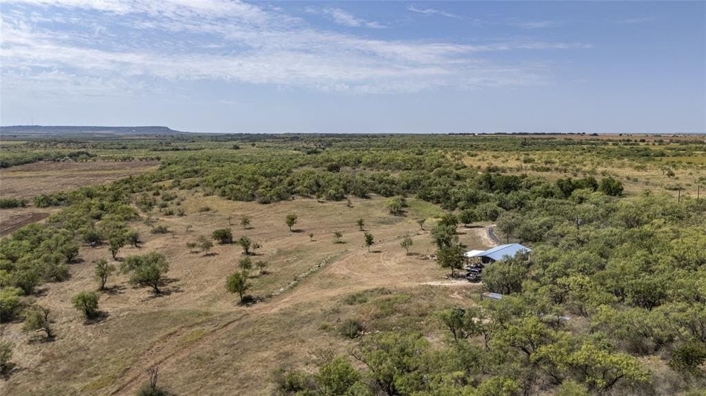 229.31 acres in Coleman County gallery image 4