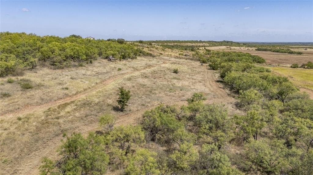 229.31 acres in Coleman County gallery image 3