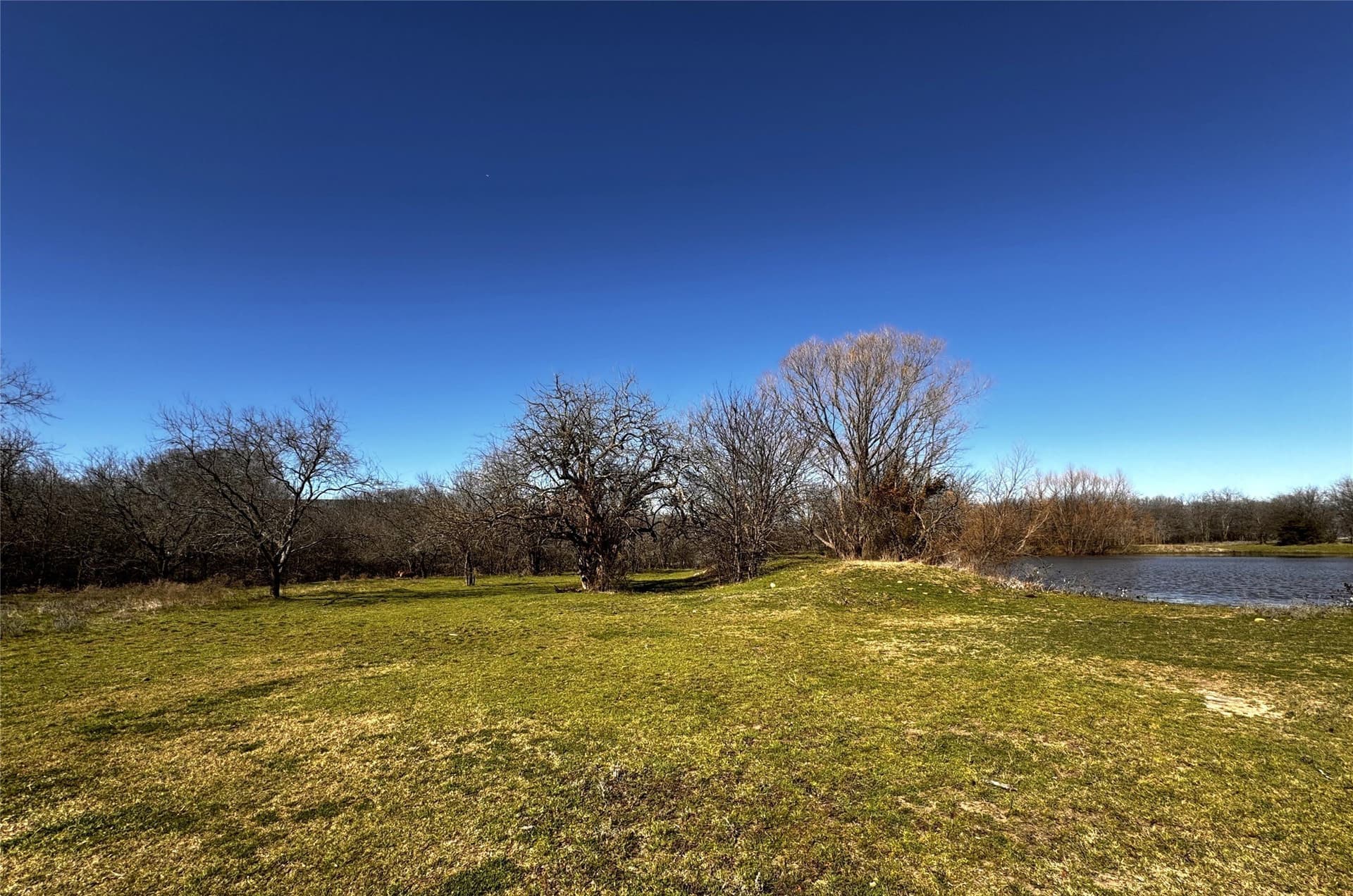 11.88 acres in Grayson County - photo 8