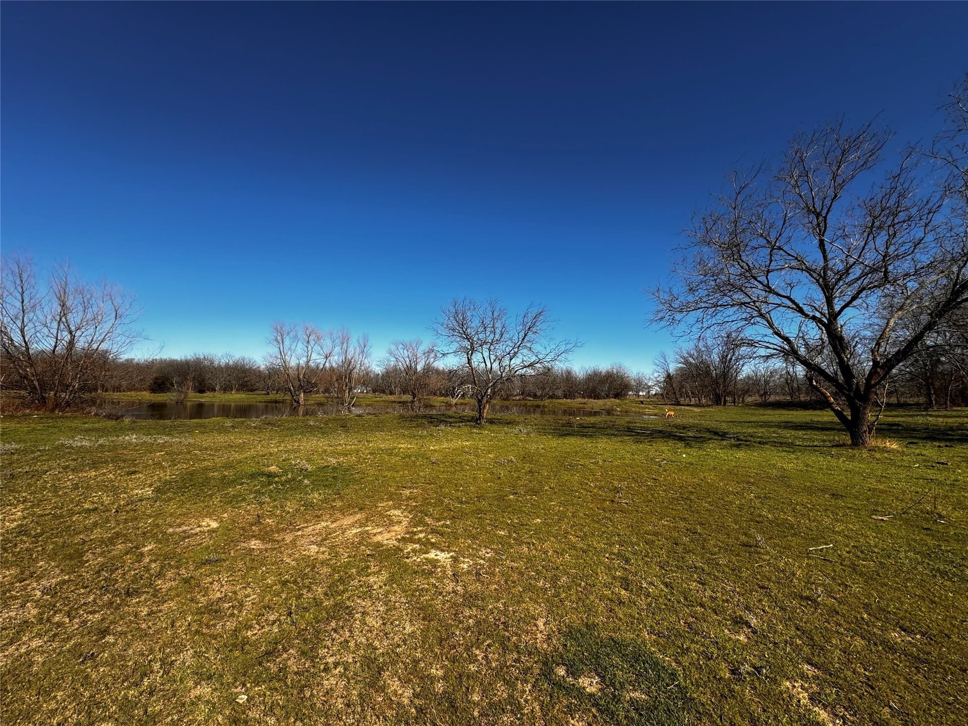11.88 acres in Grayson County - photo 9