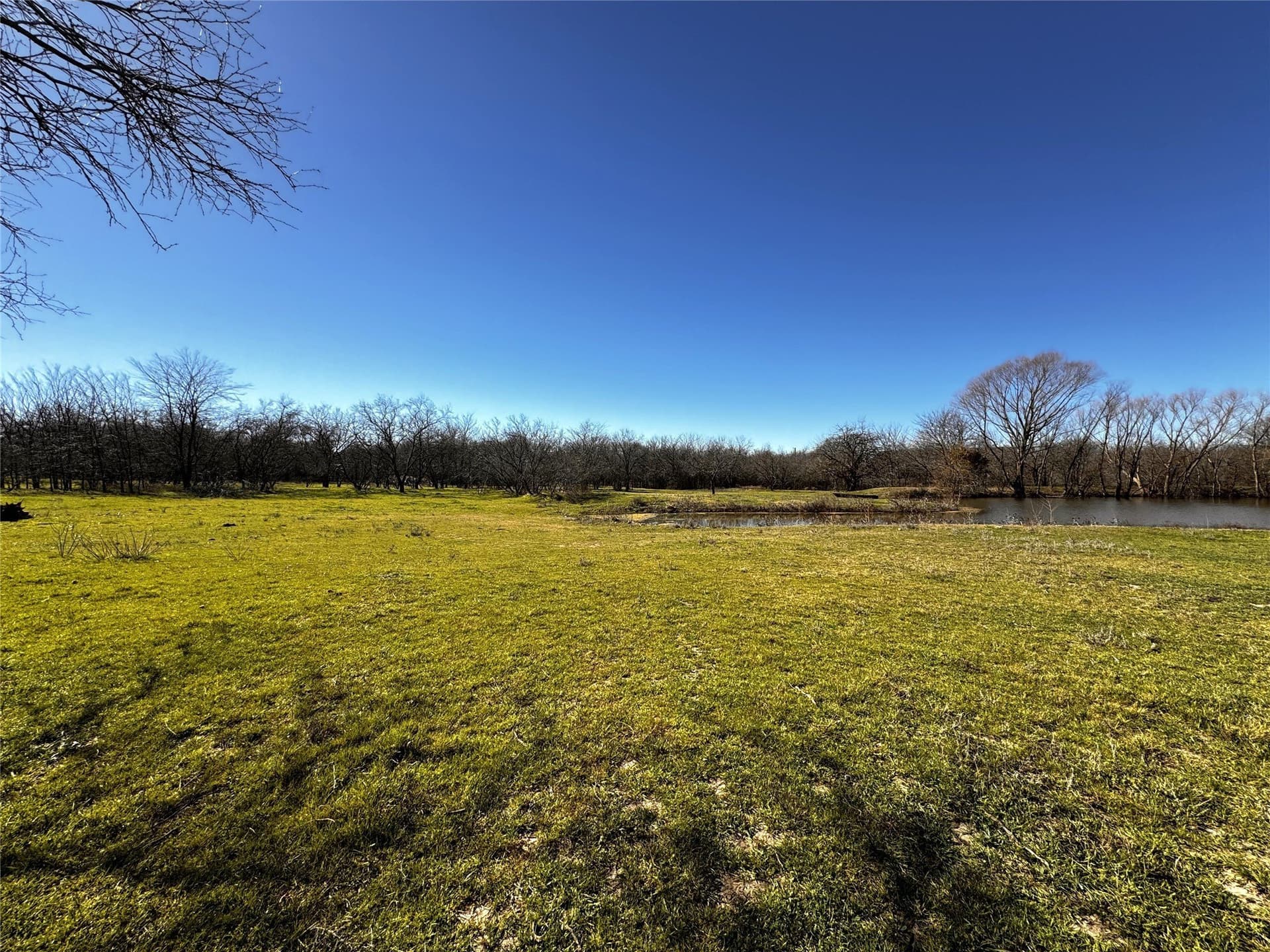 11.88 acres in Grayson County gallery image 4