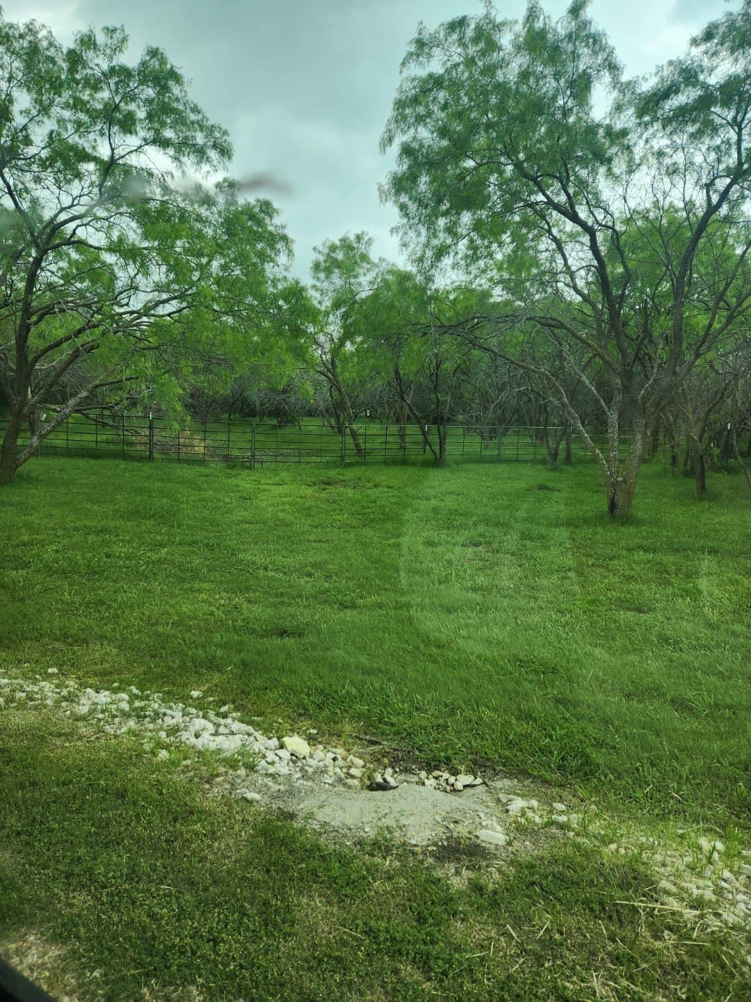 11.88 acres in Grayson County - photo 10