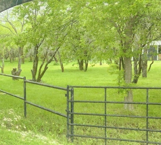 11.88 acres in Grayson County - photo 11