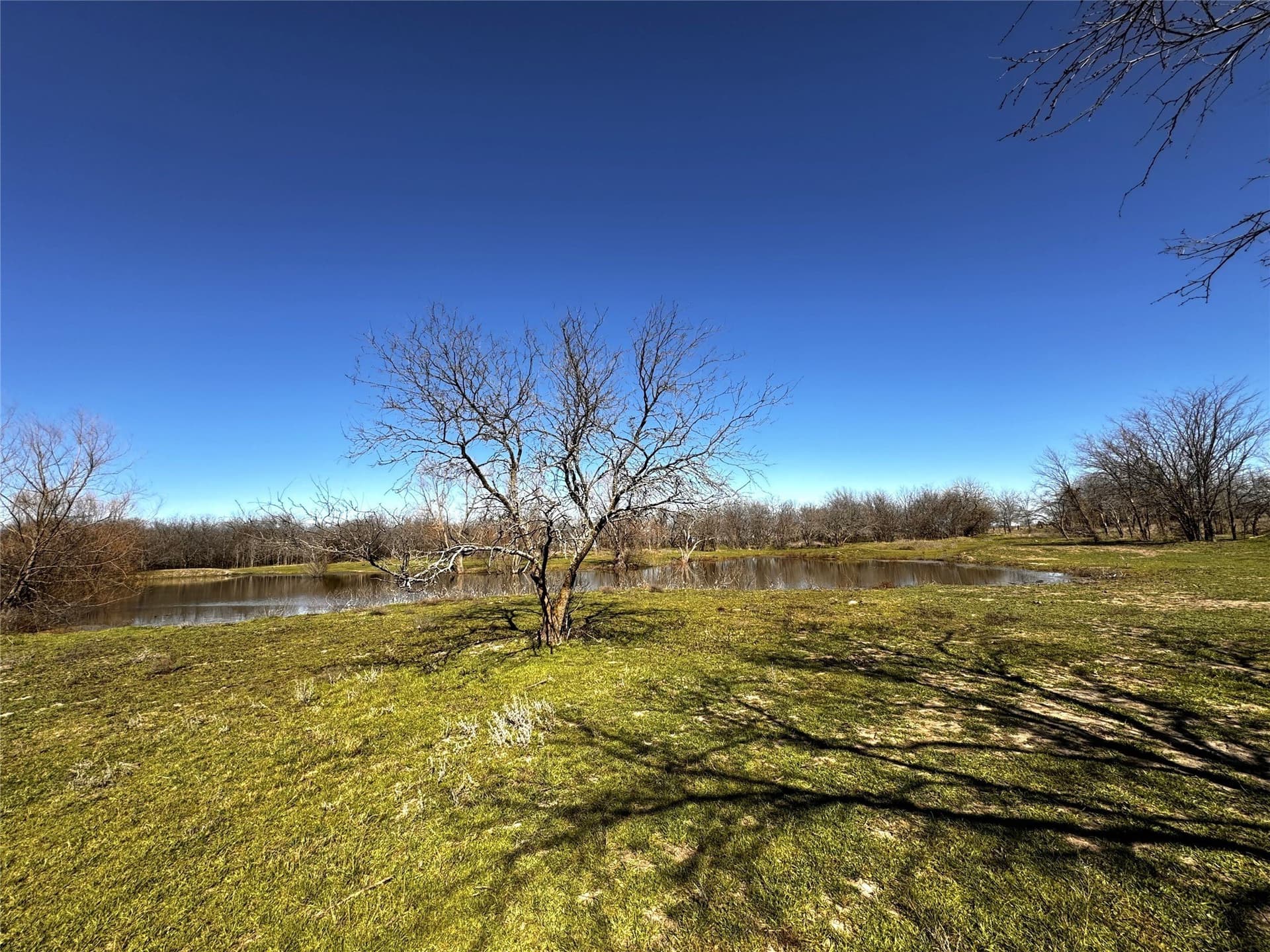 11.88 acres in Grayson County featured view