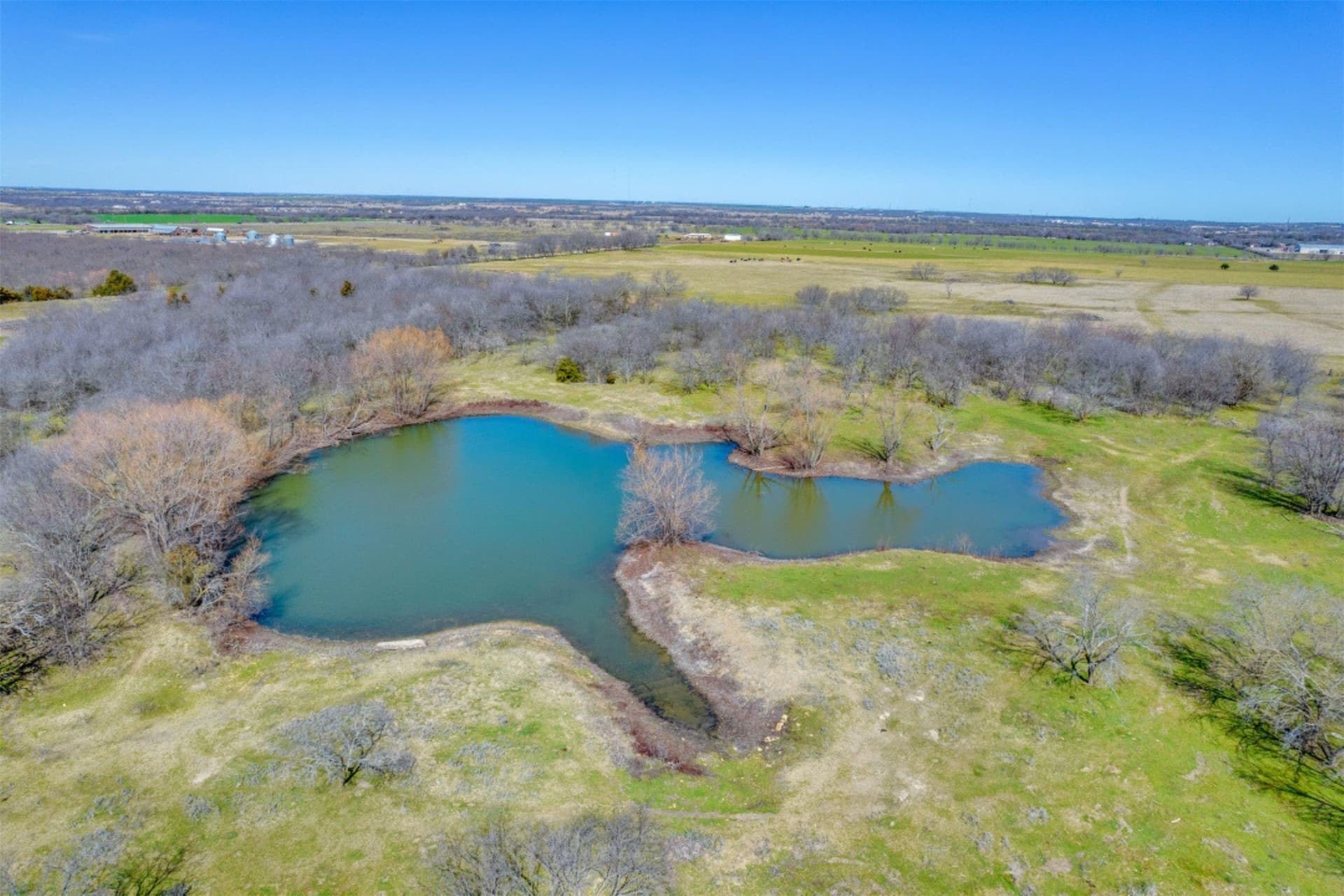 11.88 acres in Grayson County gallery image 2