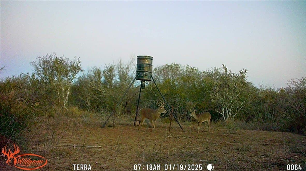 13.86 acres in Duval County gallery image 2