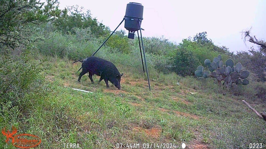 13.86 acres in Duval County