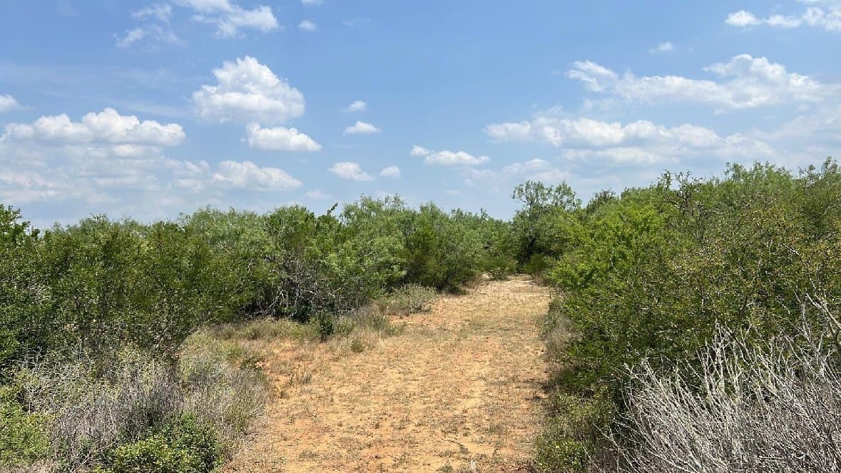 13.86 acres in Duval County gallery image 3