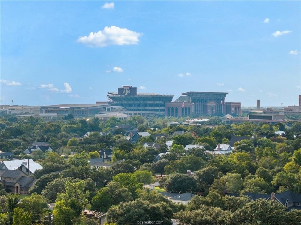 0.33 acres in Brazos County - photo 7