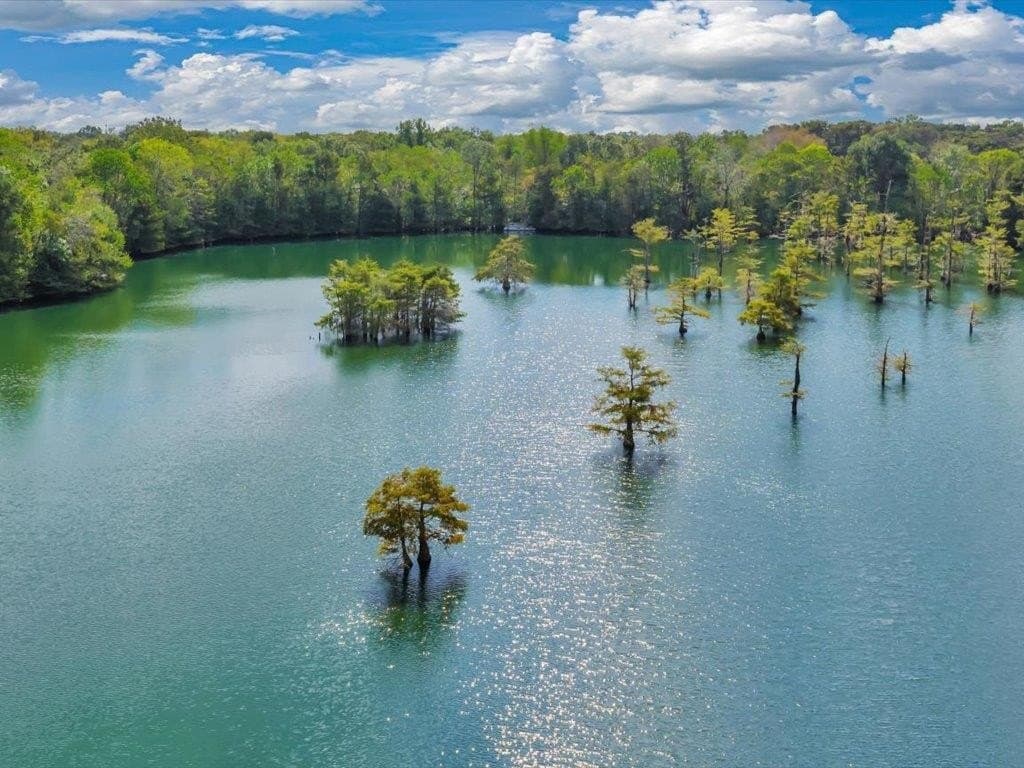 241 acres in Texas County