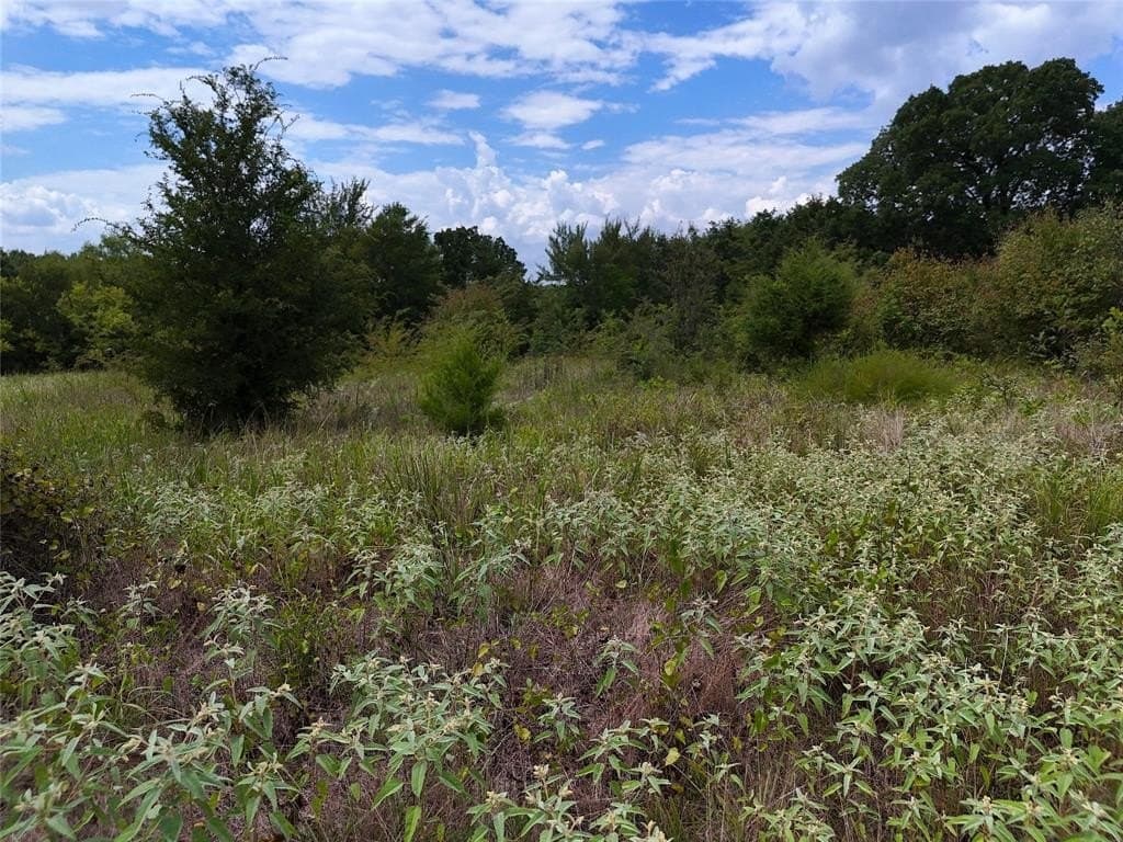 15.5 acres in Fannin County featured view