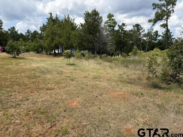 0.5 acres in Smith County - photo 2