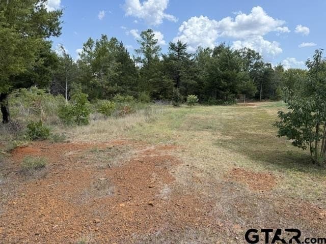 0.5 acres in Smith County - photo 4