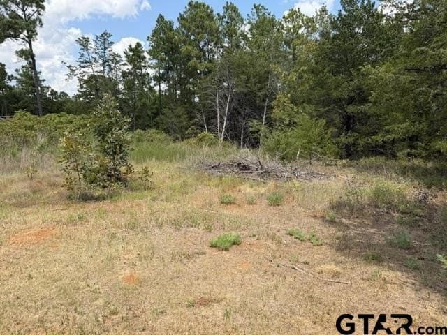 0.5 acres in Smith County - photo 3