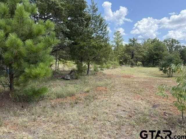 0.5 acres in Smith County - photo 5