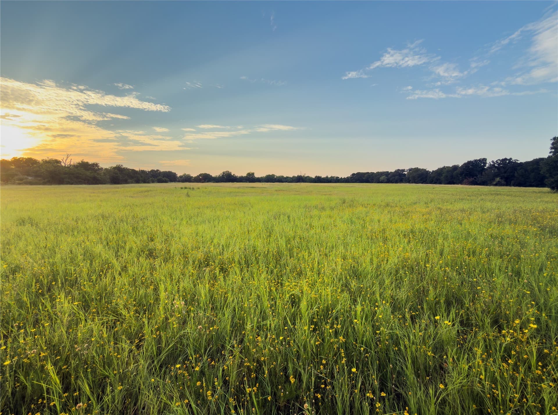 0.26 acres in McLennan County - photo 4